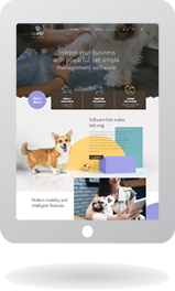 MASSLIVE MEDIA GROUP