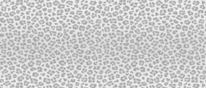 MASSLIVE MEDIA GROUP